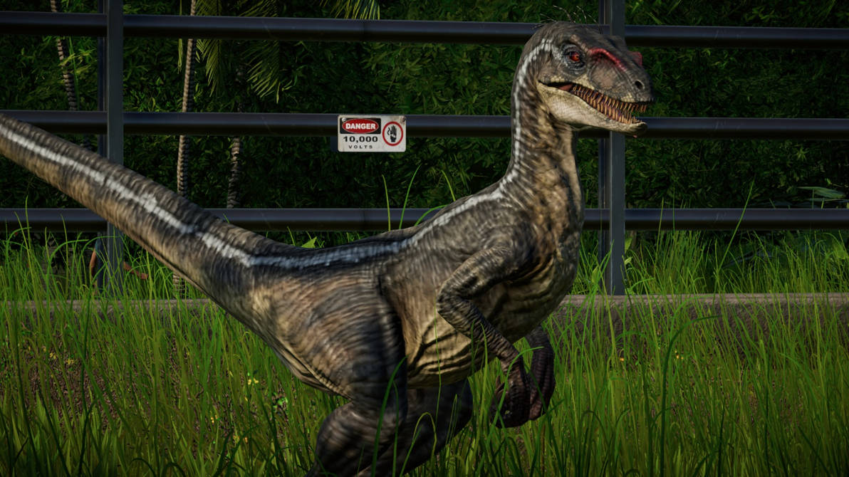 JWE Raptor male 2001 skin by Marmotte5280 on DeviantArt