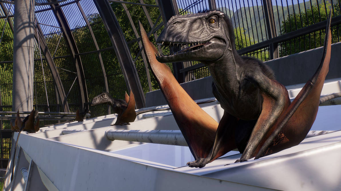 Jurassic World Reborn : Dimorphodon by Marmotte5280 on DeviantArt