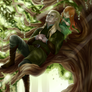 .: Calm Mirkwood :.
