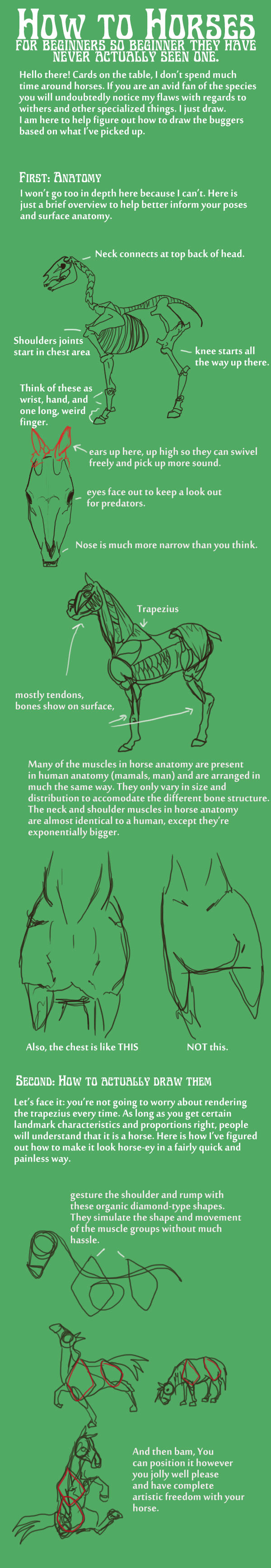 How to Horses