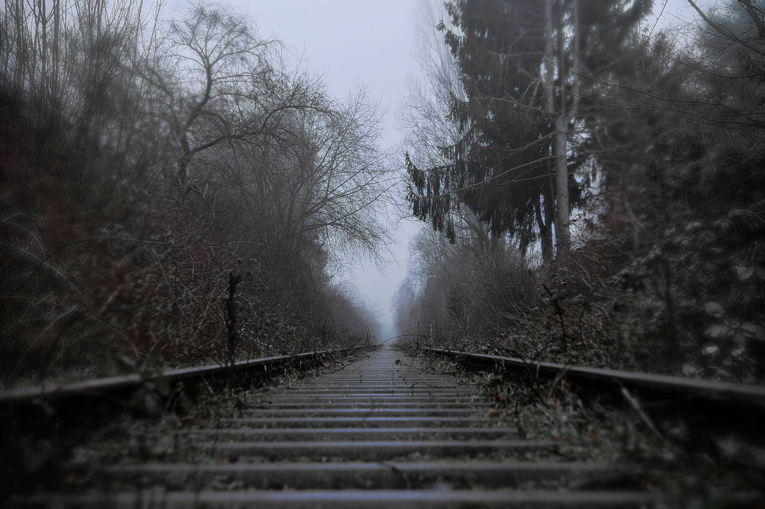 The Unreal Silence by shishas