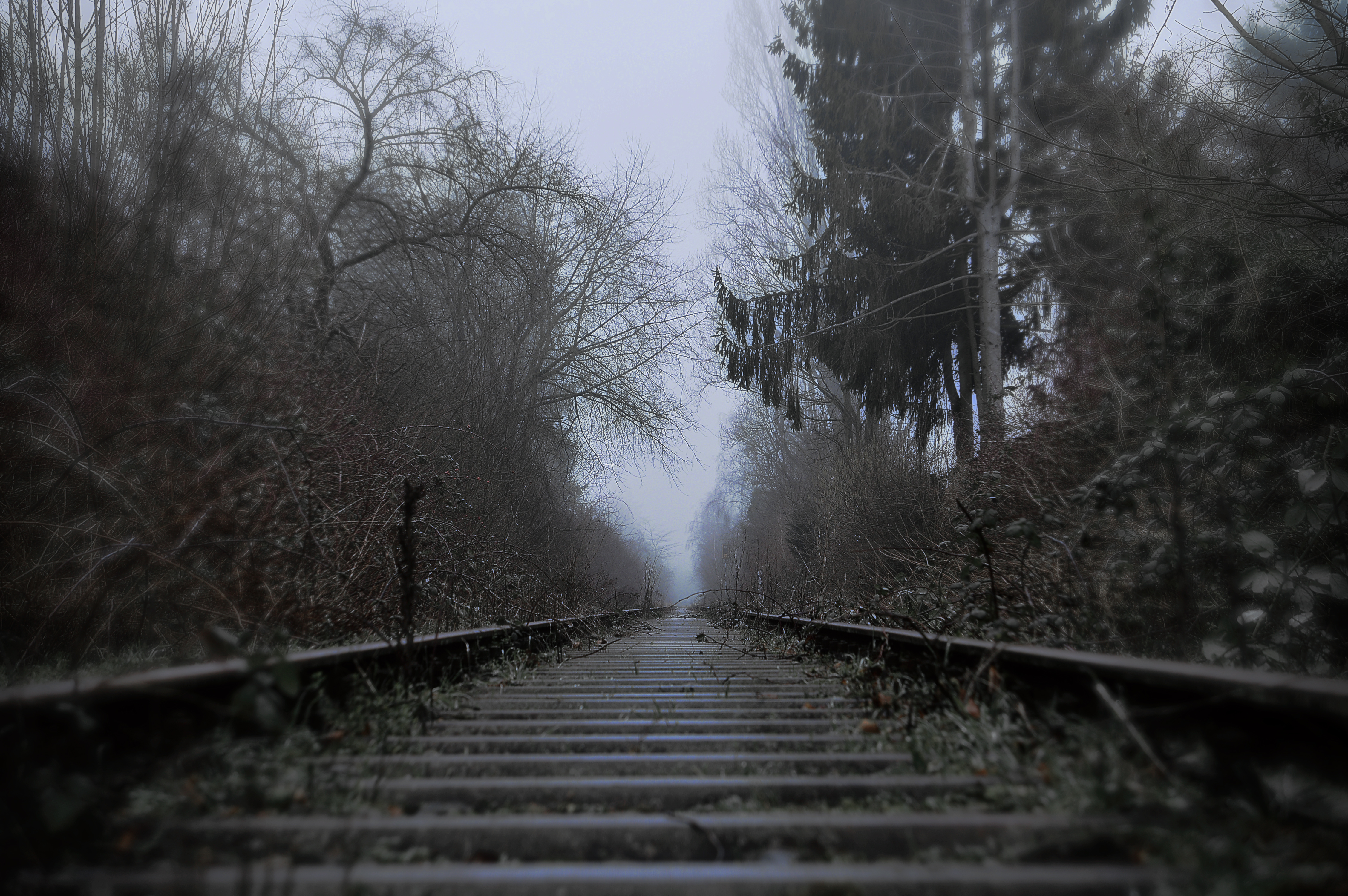 The Unreal Silence by shishas