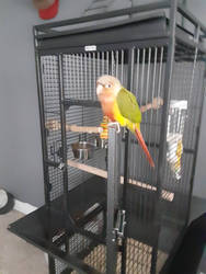 Grogu outside his Cage