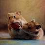 Cute Hamster's 2