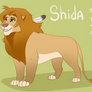 .TLK OC: Shida the lion.