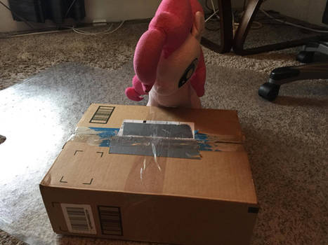 Secret Pinkie gifts