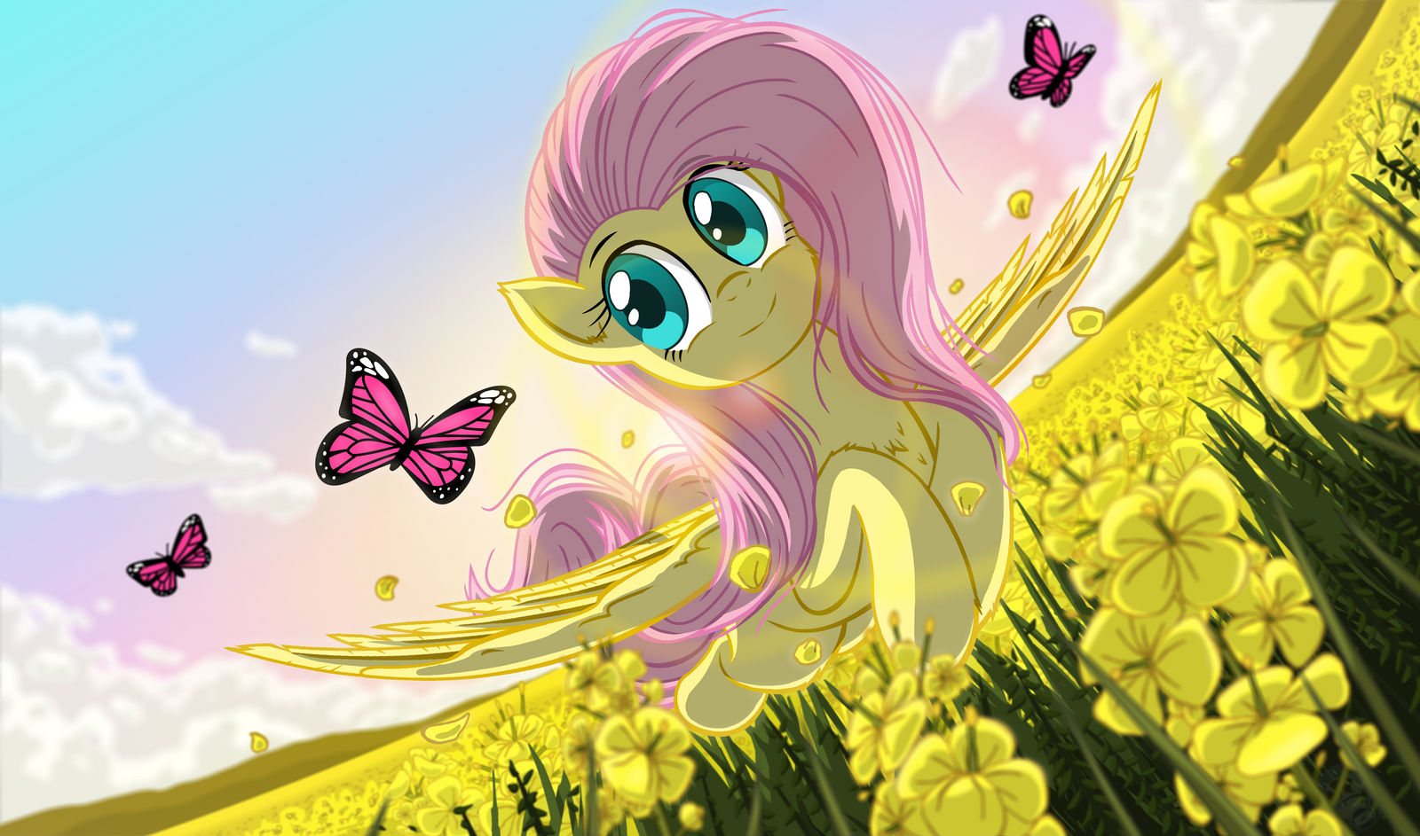 Flutter Deviantart Flutter by Template93 on DeviantArt