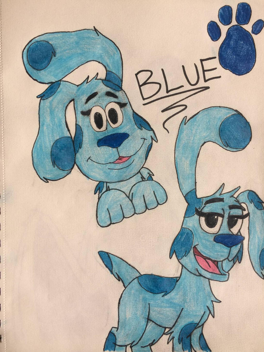 Blue's Clues | Blue Drawings by MLPTMNTFan2000 on DeviantArt