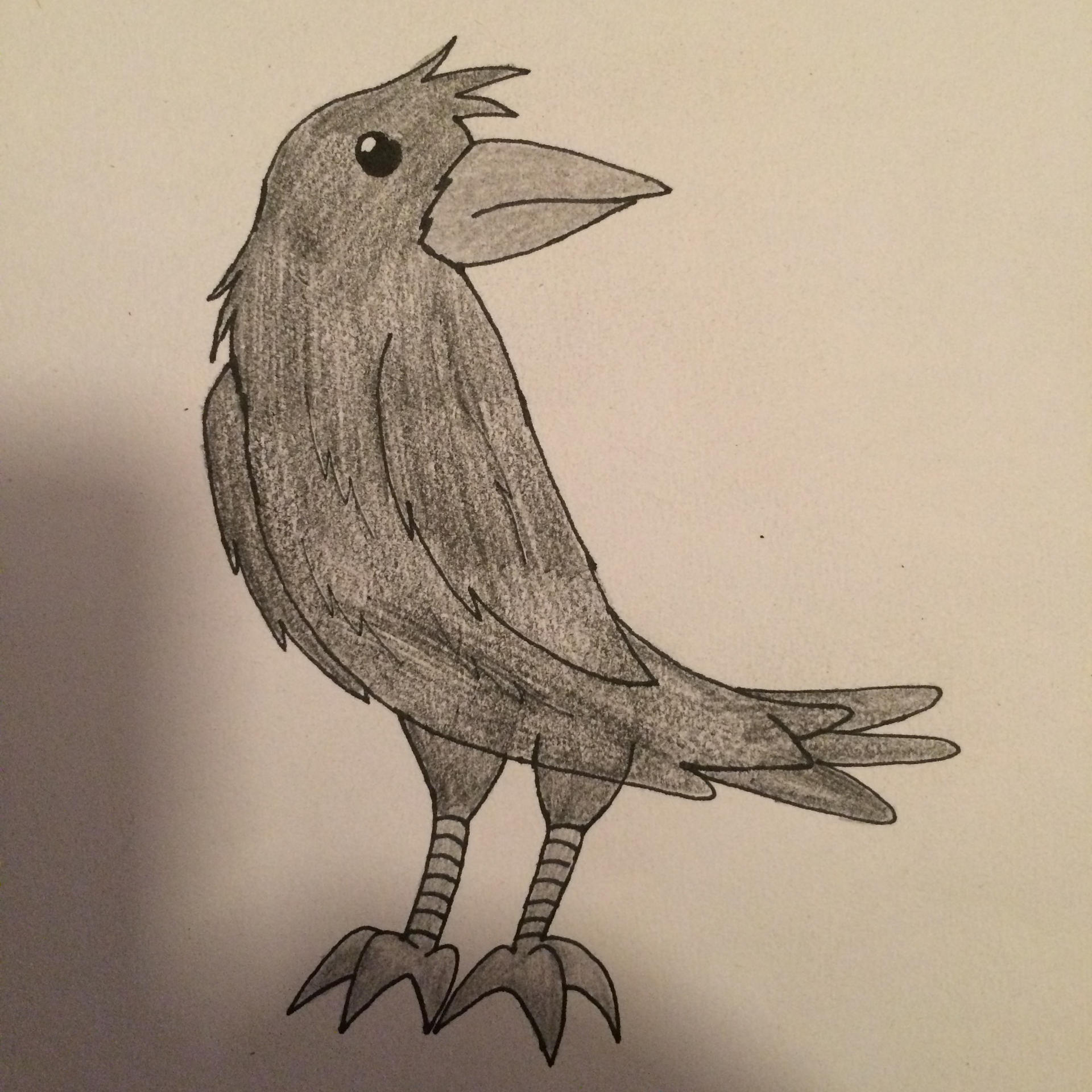 A Simple Raven Drawing by MLPTMNTFan2000 on DeviantArt
