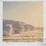 Polaroids of snow