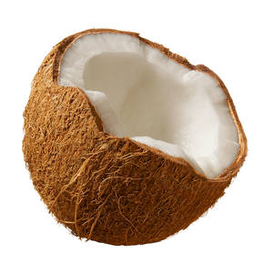 COCONUTS are GOD