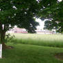 Countryside