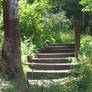 Woodsy stairs 2