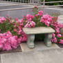 Garden bench 3