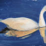 Schwan (swan) 