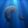 Hue Manatee meets Imba Seal