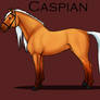 Caspian - Profile