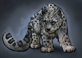 SnowLeopard Cub