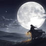 Moonlit Wanderer