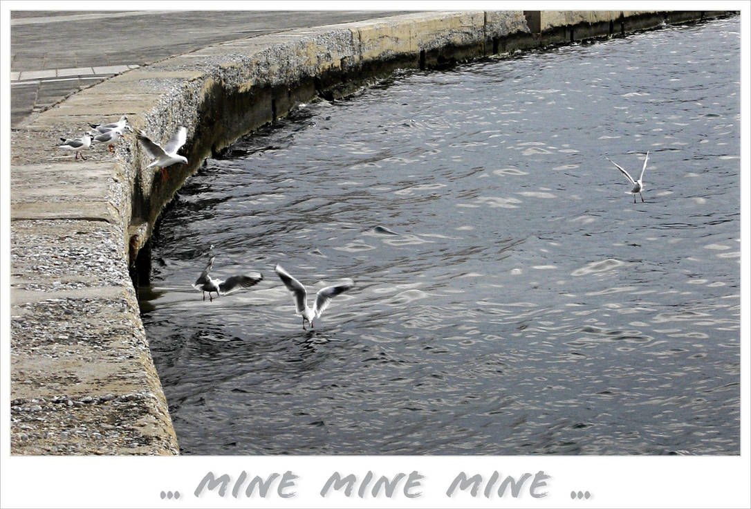 ...Mine Mine Mine... by jonybravo on DeviantArt