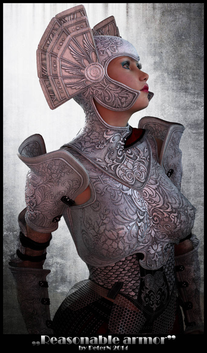 Excessive Armor Reasonable armor by PeterN64 on DeviantArt