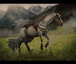 WARRIOR IN WASTE by elegant--tragedy