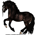Tribs1a by elegant--tragedy