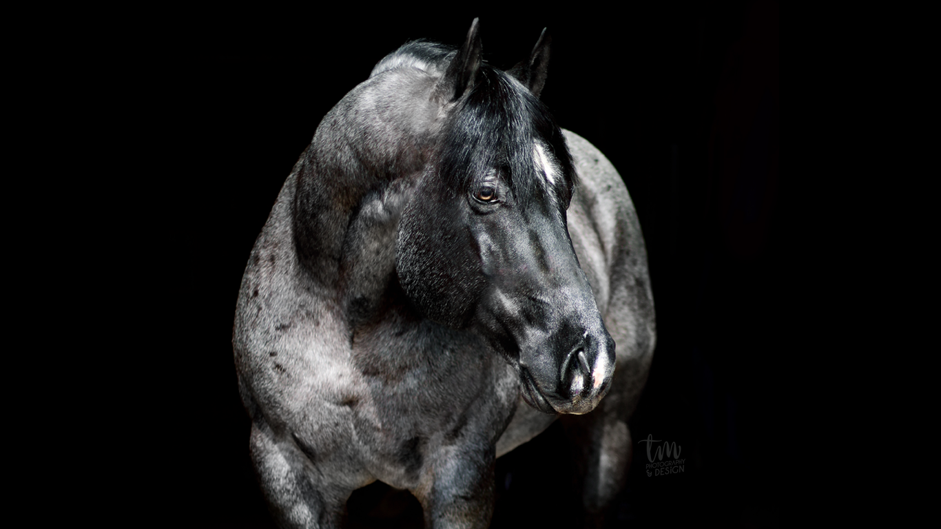 BOONSMAL BLUE by elegant--tragedy