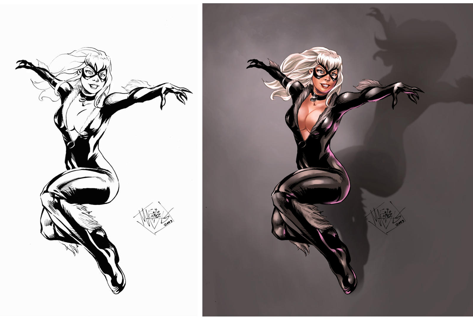 Black Cat colors