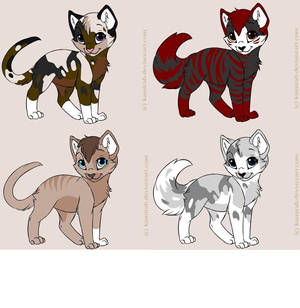 Warrior cat adoptables2