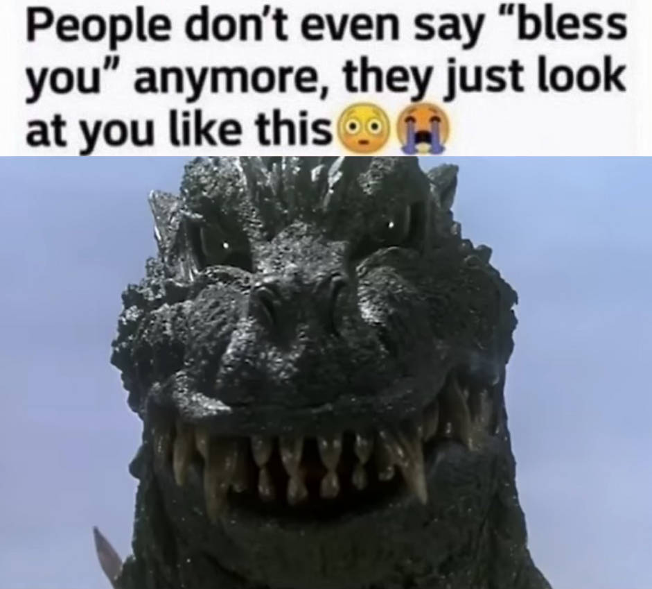 Godzilla Meme by GodzillaLover04 on DeviantArt