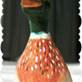 Mushroom Mallard