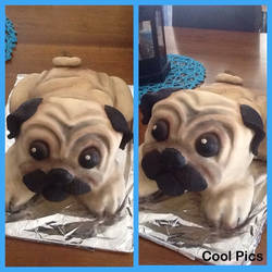 Pug cake