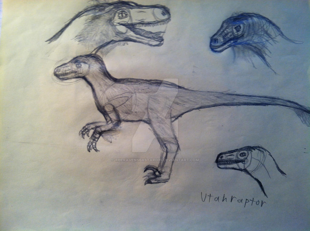 Utah Raptor Outlines Utahraptor sketches by TheRavensBastard39 on DeviantArt