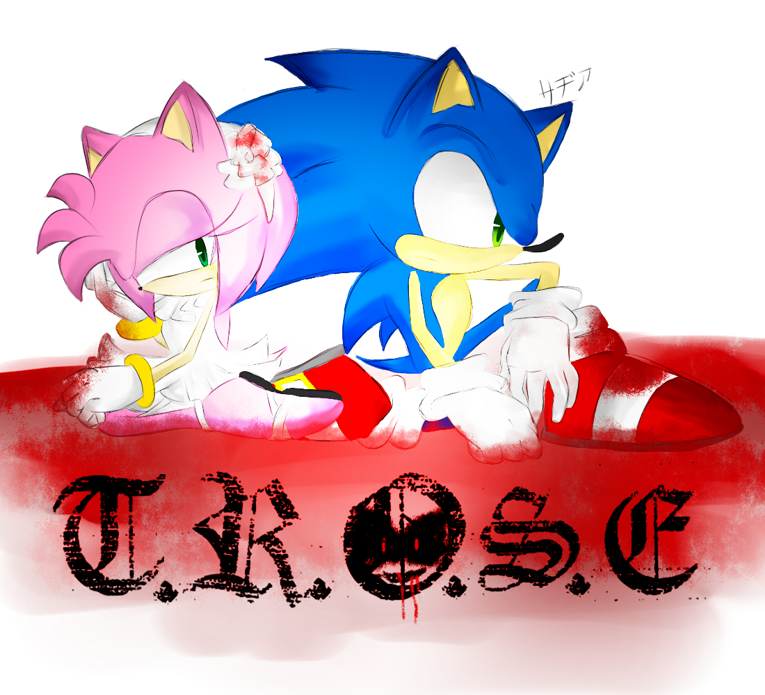 Sonic X The Revenge of Sonic.exe Cover Art by RaphaelHedgehogFan68 on  DeviantArt