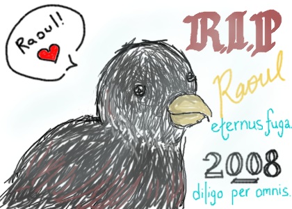 R.I.P Raoul: A Quail of Love