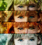 Seasons by AFrozenMoment