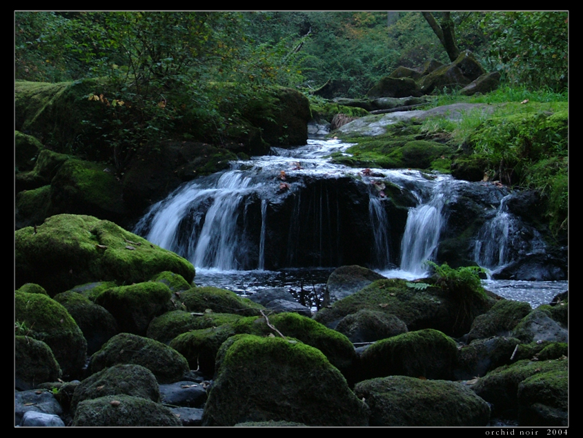 The Fairy's Falls