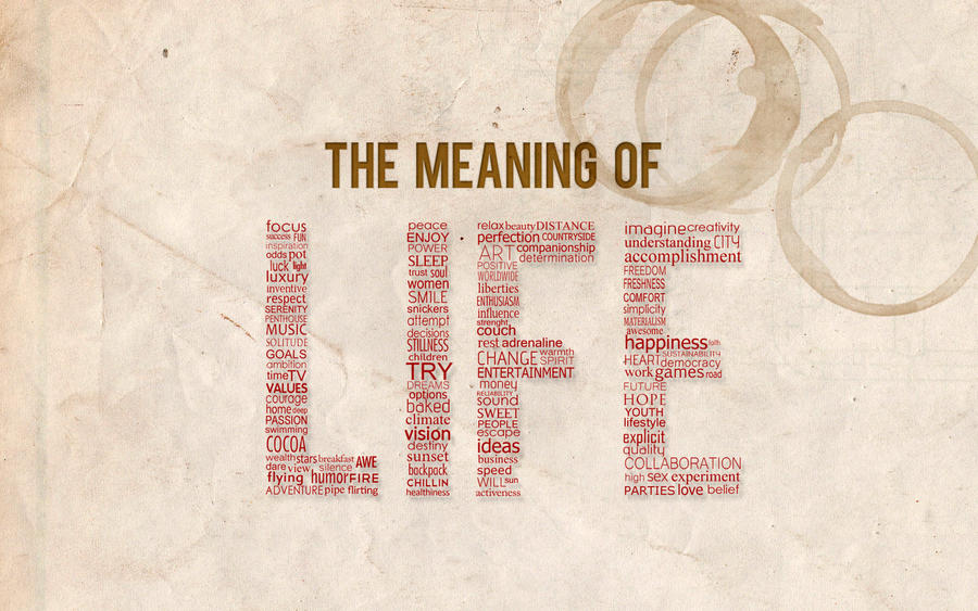 Them of life meaning of. Meaning of Life. Meaning. Meaning картинка. What is the meaning of Life.