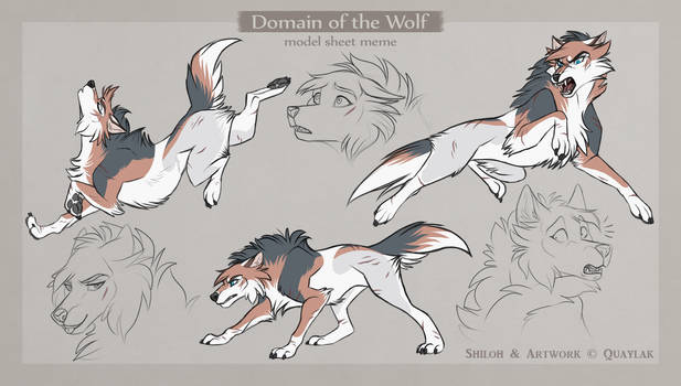 DotW: Model Sheet - Shiloh