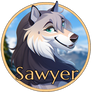 DotW: Sawyer Medallion
