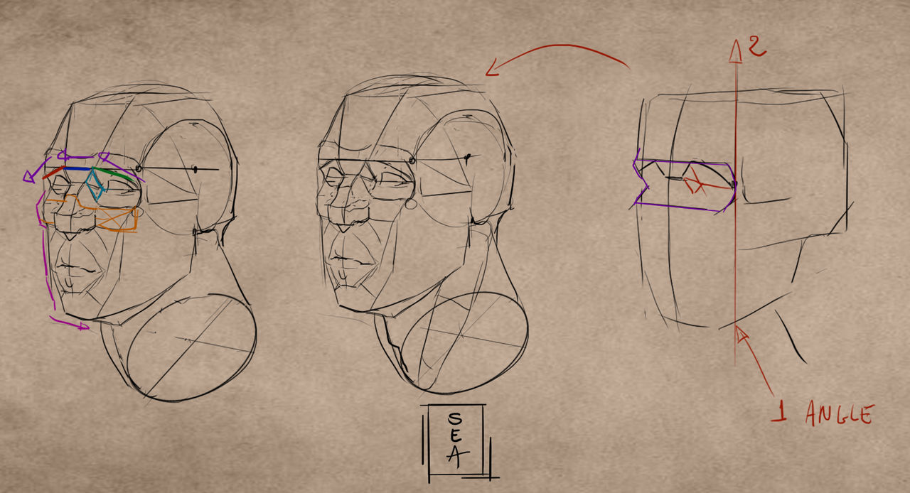 Study