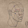 Study