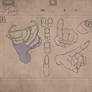 Hands Study