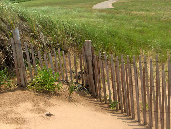 Darnley Dunes II