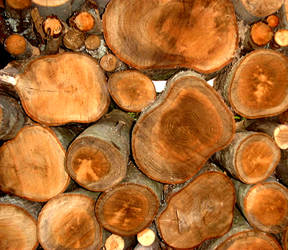 Woodpile