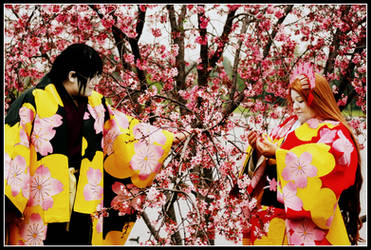 A day with Cherry Blossoms...