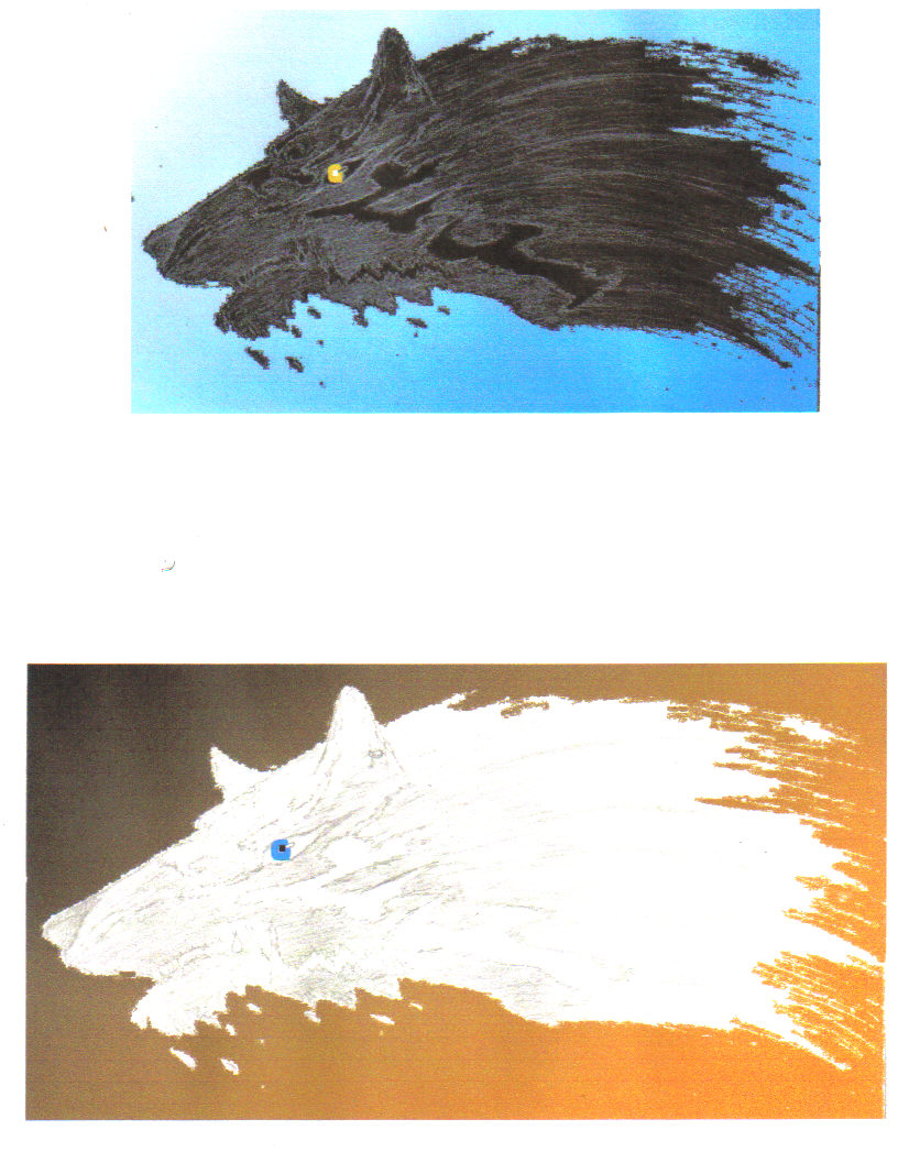 Wolf Link experiment 2