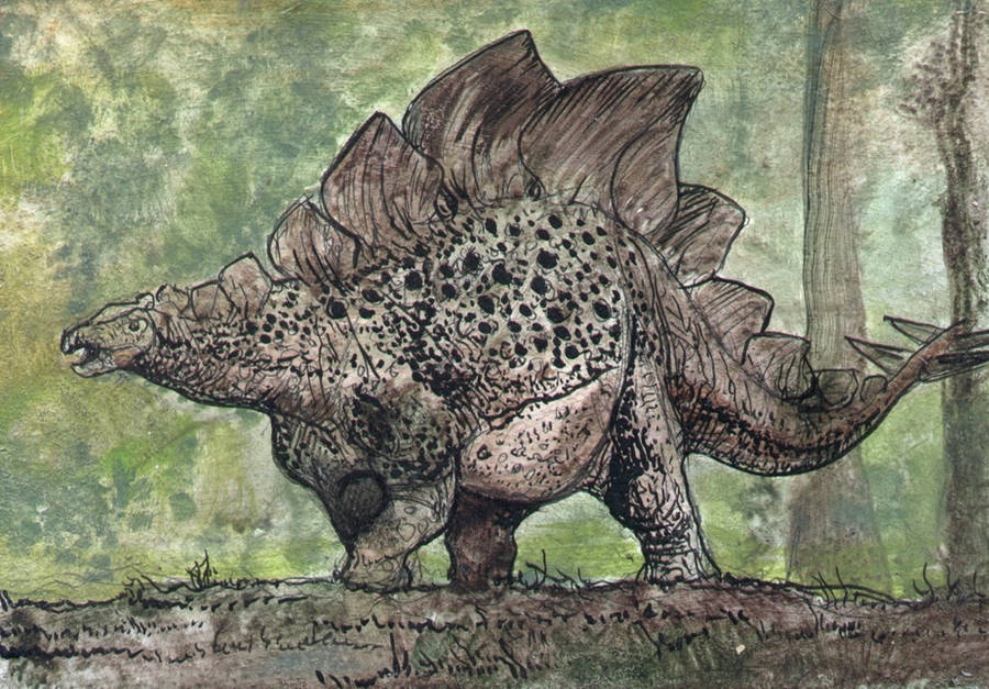 Brown Stegosaurus by Algoroth