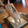 Jobaria Skelly Skully 1
